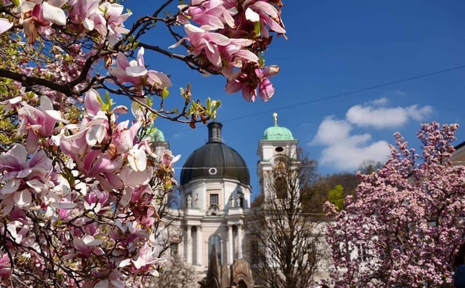 Hotel Vogelweiderhof Salzburg Eksteriør bilde